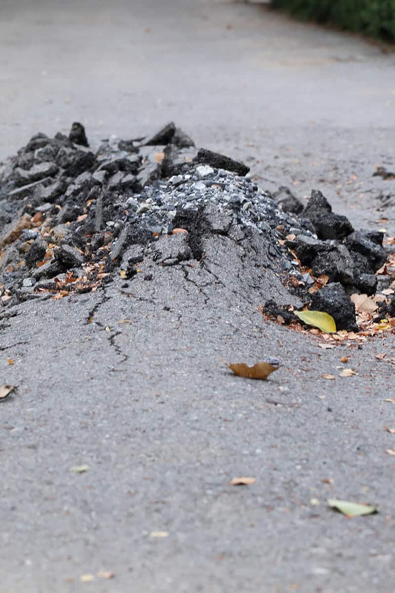 Why Asphalt Cracks and What to Do About It - Go Pave Utah